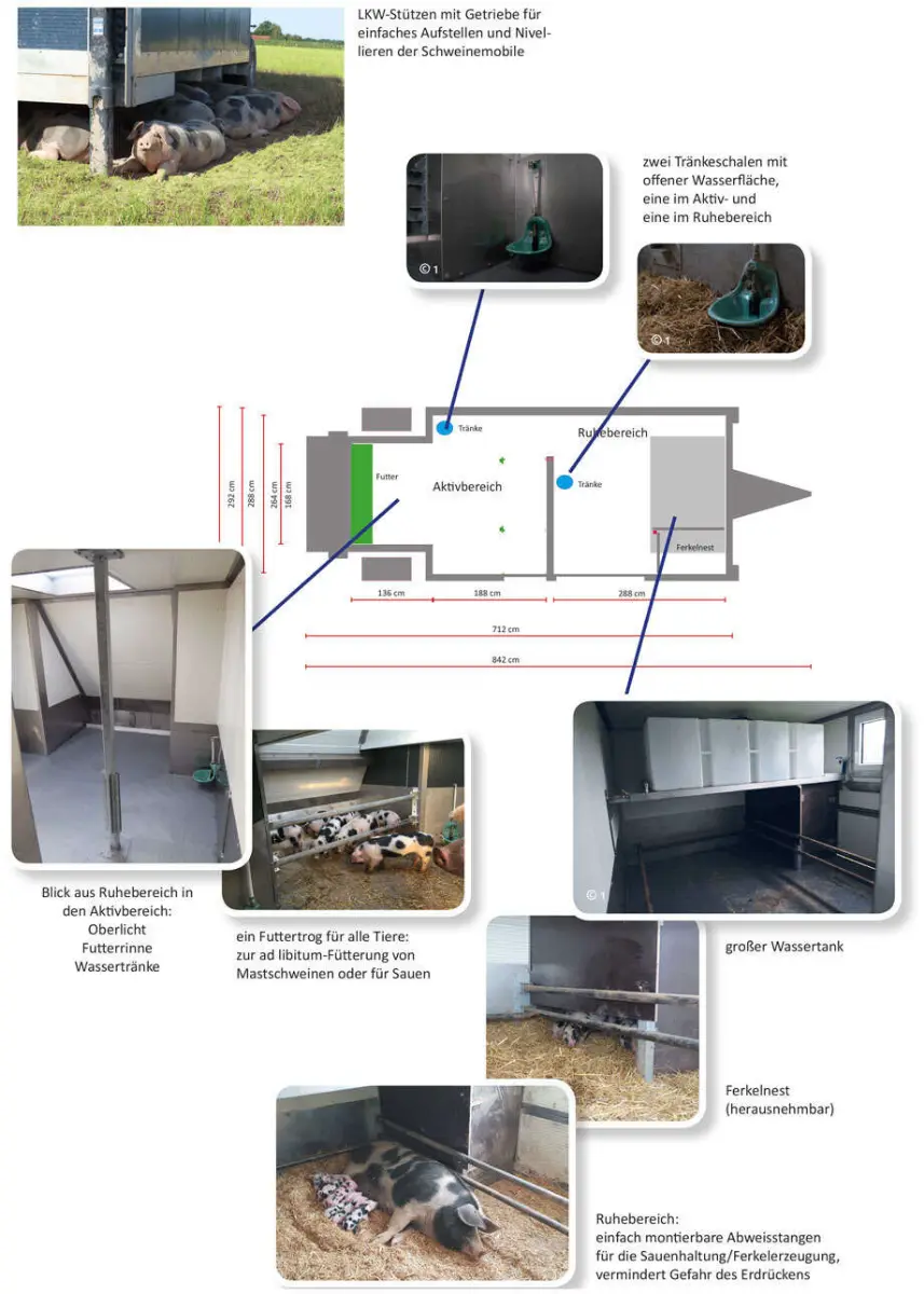 Ausstattungsdiagramm des Schweinemobils mit Aktiv- und Ruhebereich, Futterrinne, Tränken, Wassertank und Ferkelnest