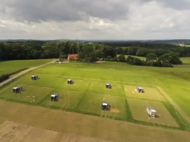 Schweine im Schweinemobil